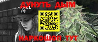 дмт Гатчина