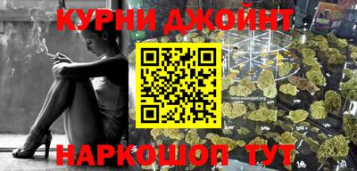 дмт Гатчина