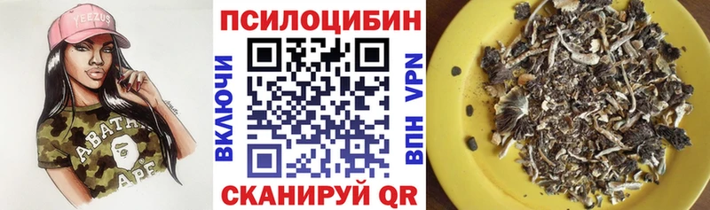 Псилоцибиновые грибы Cubensis  Советский 