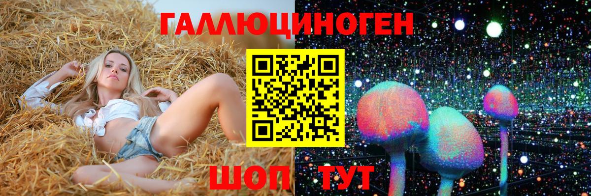 Псилоцибиновые грибы Psilocybe Советский